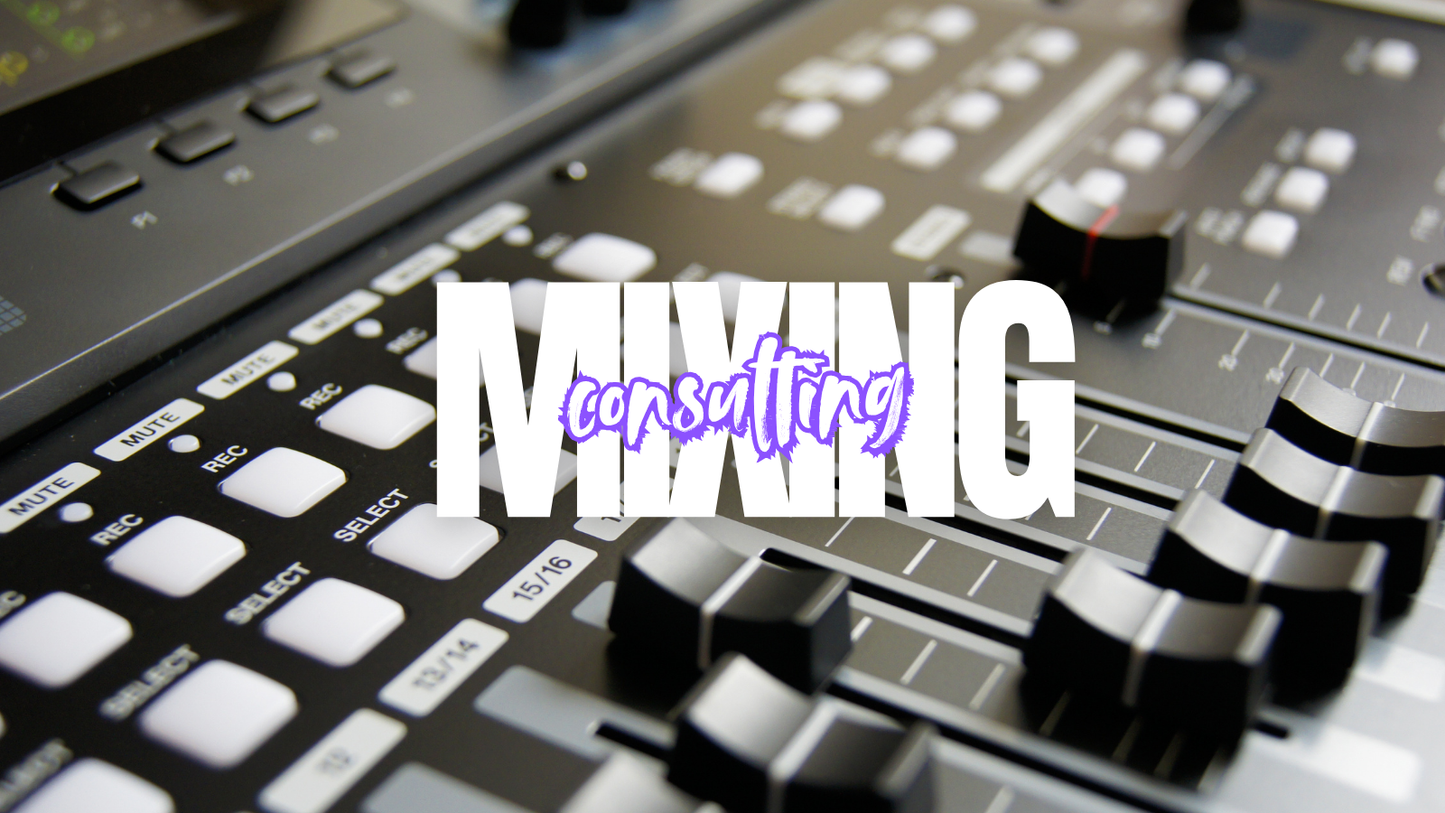 Mix & Master Consulting Training (Per Hour)